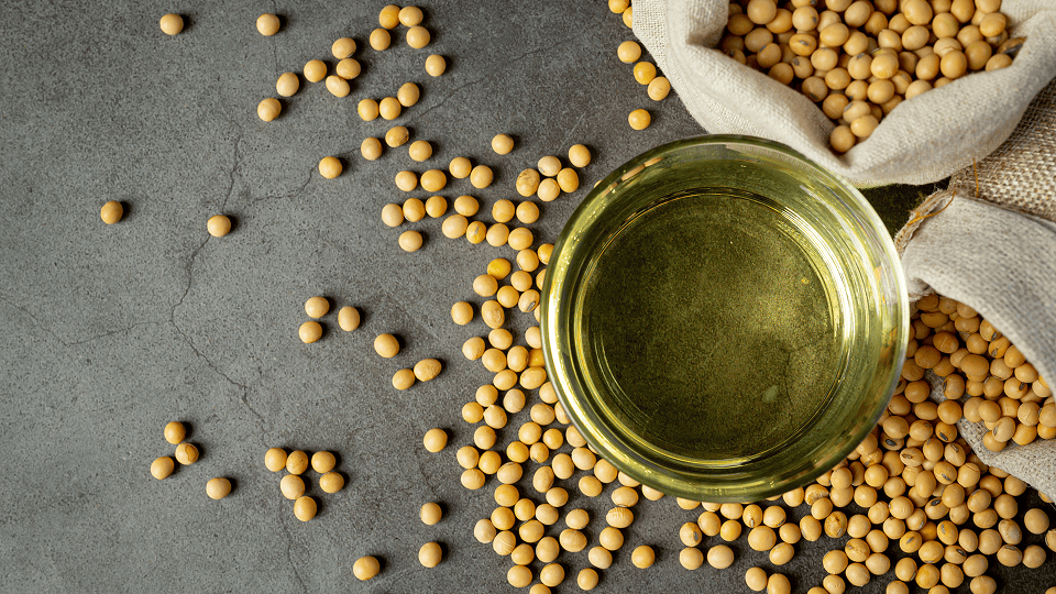Benefits and effects of soybean oil on heart health