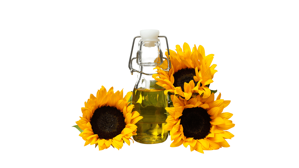 Sunflower oil extraction