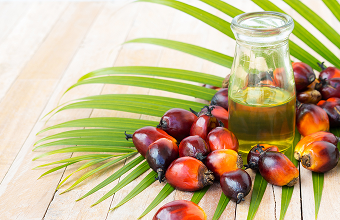 Product-پالم-اولئین-1-APO-new